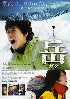 岳：冰峰救援(2011)