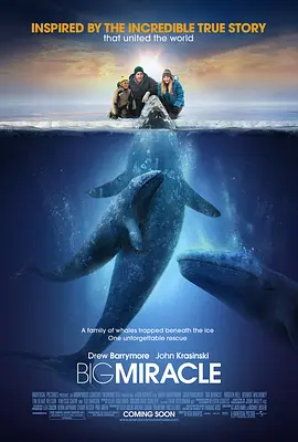 鲸奇 Big Miracle (2012)