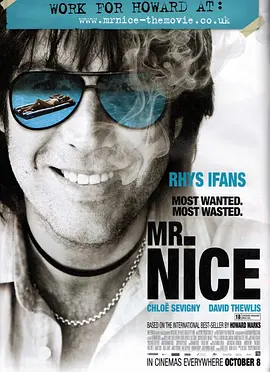 好心先生 Mr. Nice (2010)